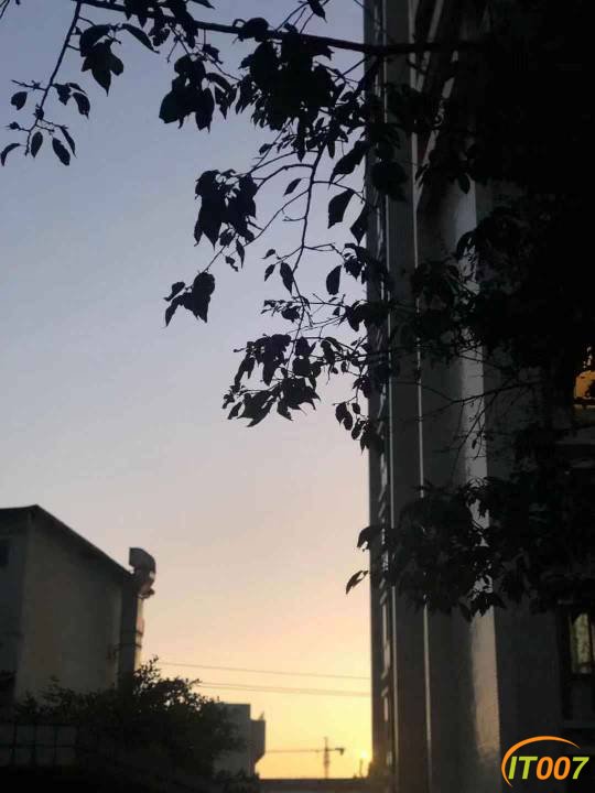 083313h1ffgqqxfgojgwam.jpg