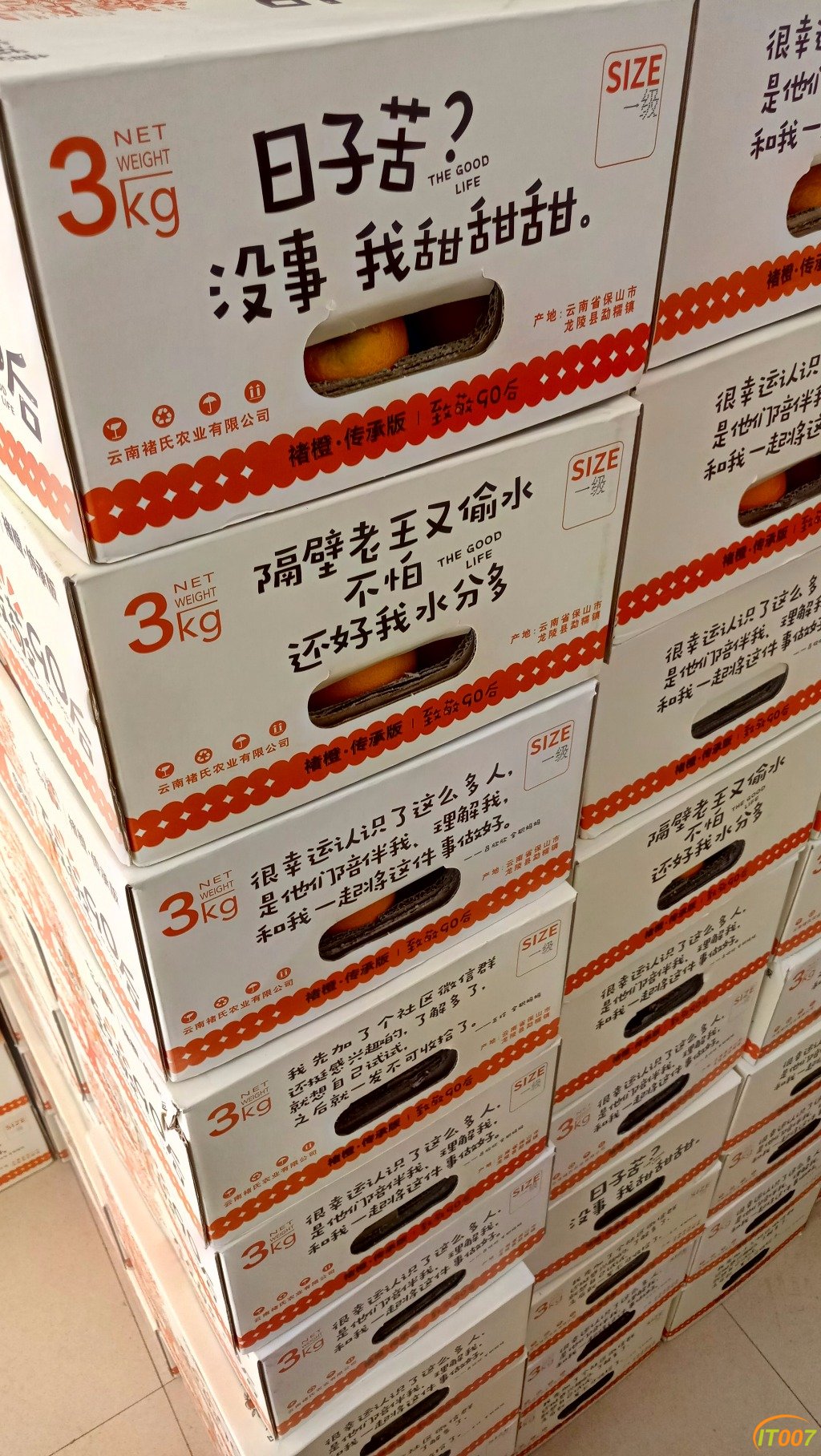 P81227-111607.jpg