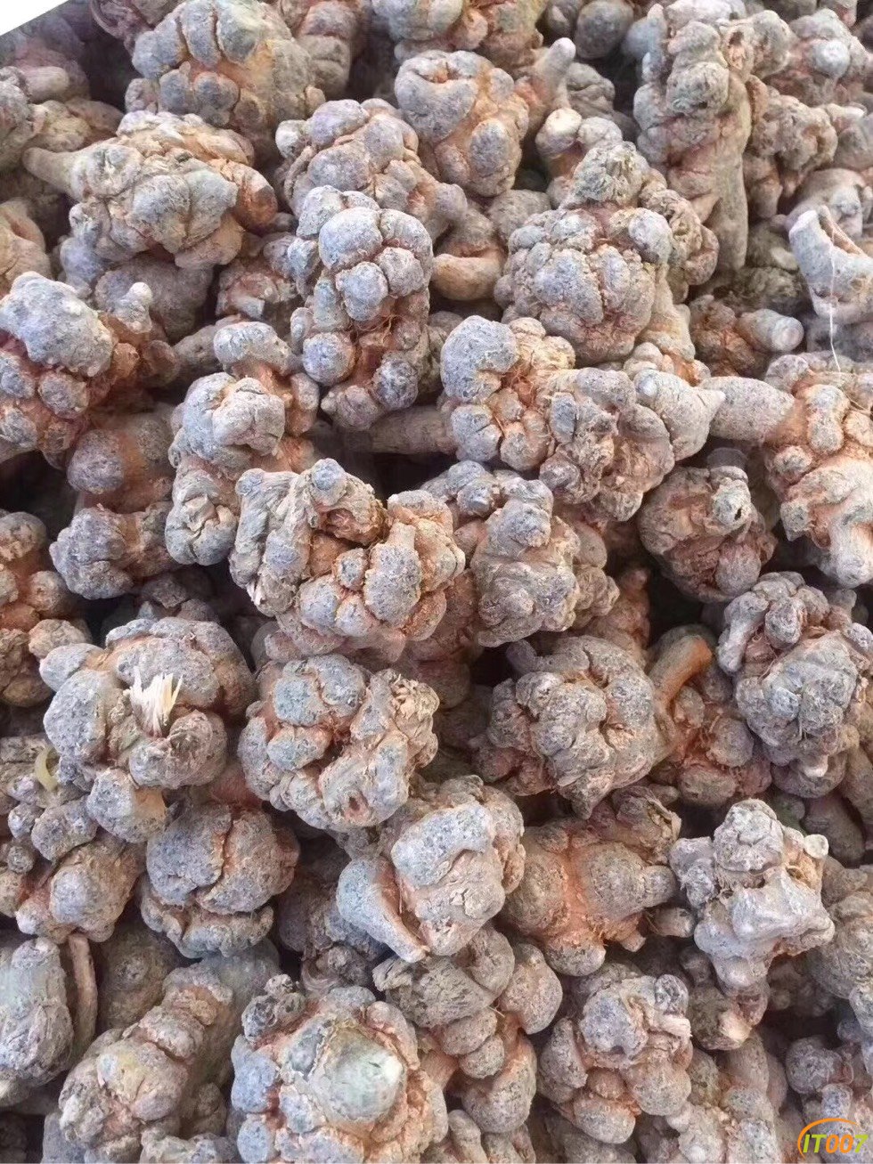 文山三七,干度保障:拿回家晒一个月出现损耗→损多少赔多少