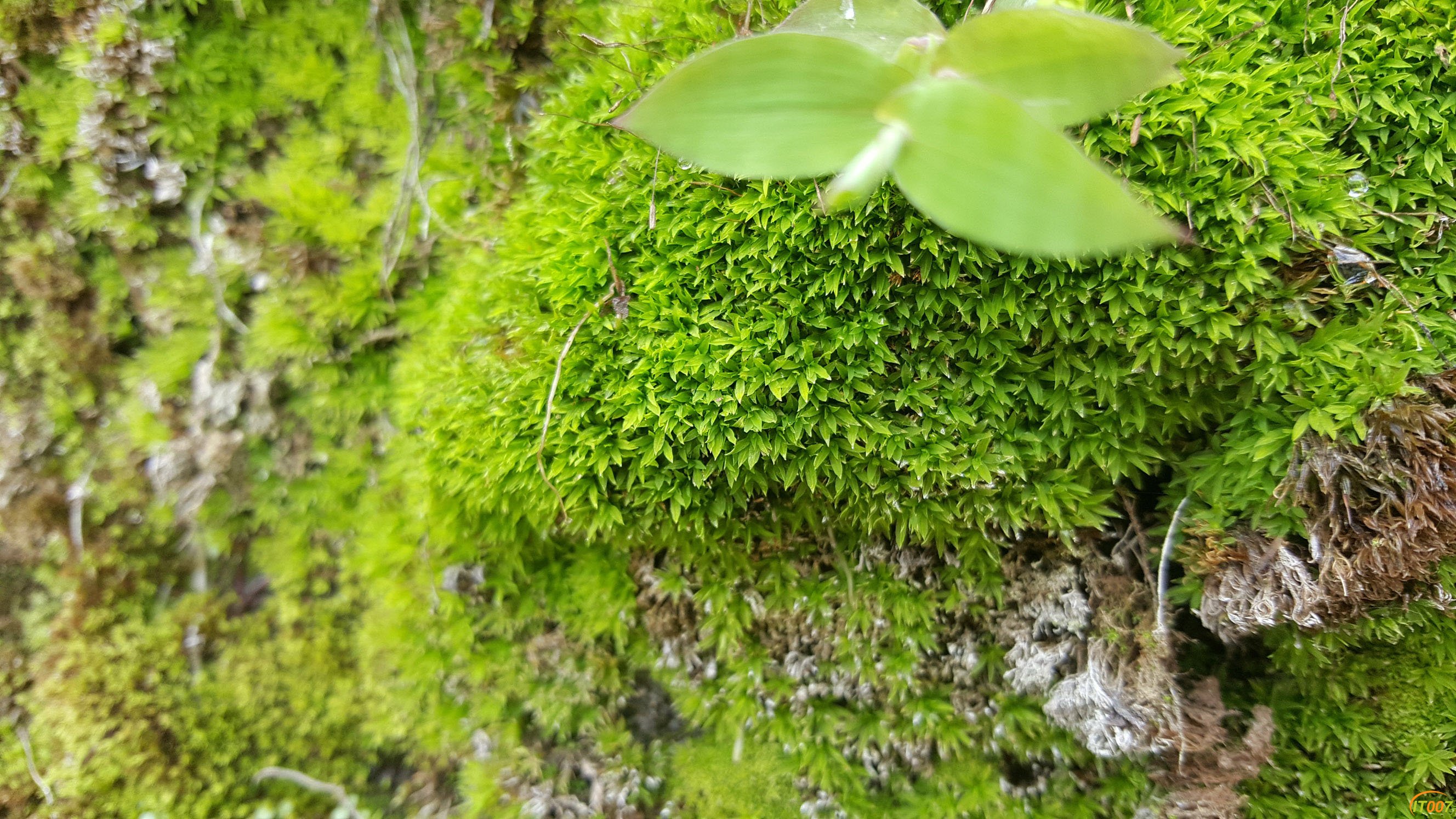 20170903_151027.jpg