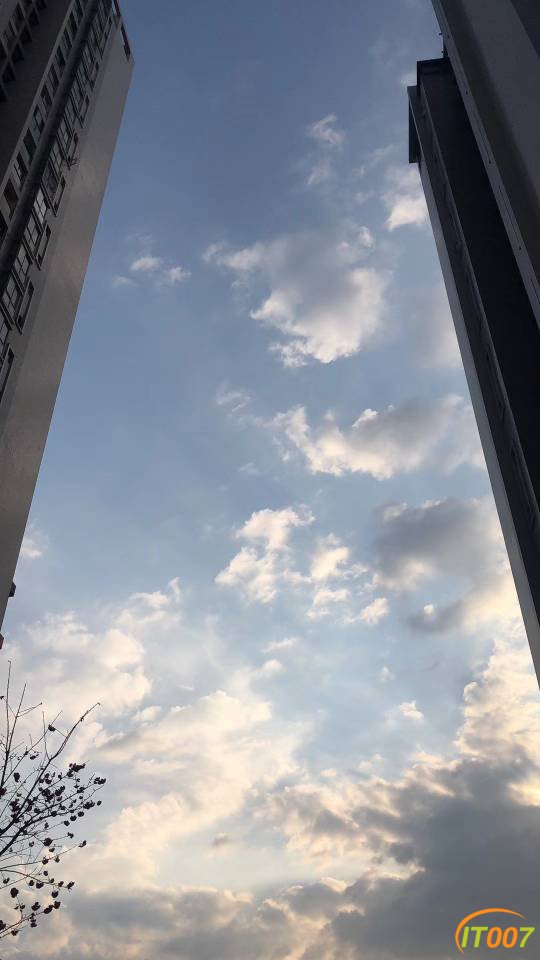 081727uxy95c99yhcnhb69.jpg