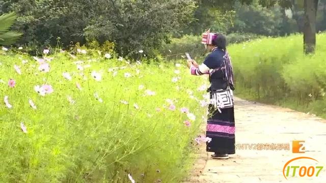 好美啊！快去打卡！国庆期间千万别错过昆明周边这片格桑花海……-8.jpg