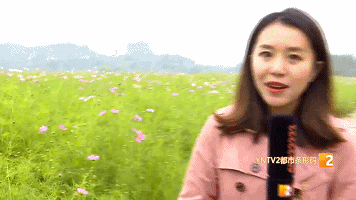 好美啊！快去打卡！国庆期间千万别错过昆明周边这片格桑花海……-5.jpg