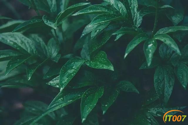 昆明茨坝片区即将大变样！国家植物博物馆年内在此开建，地铁8号线将经过这里-5.jpg