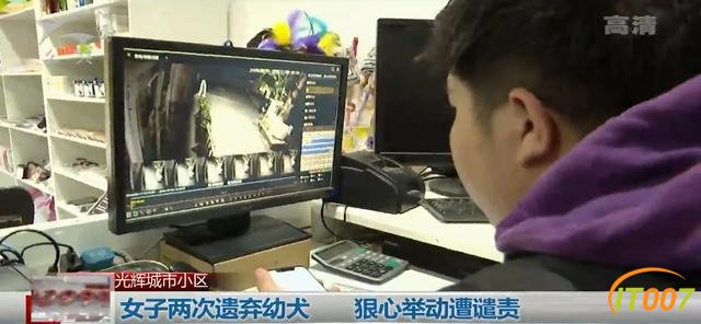 女子两次丢弃11只小奶狗，太小难养活一只不幸夭折，宠物店老板：难受，感觉自己杀了它一样-3.jpg