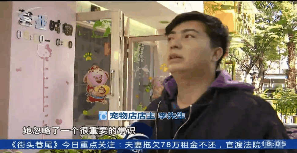 女子两次丢弃11只小奶狗，太小难养活一只不幸夭折，宠物店老板：难受，感觉自己杀了它一样-6.jpg