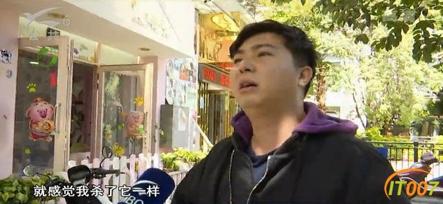 女子两次丢弃11只小奶狗，太小难养活一只不幸夭折，宠物店老板：难受，感觉自己杀了它一样-8.jpg