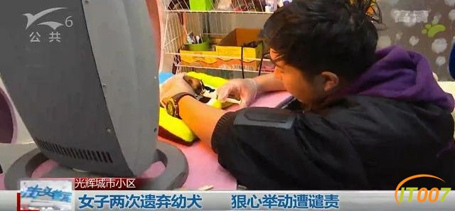 女子两次丢弃11只小奶狗，太小难养活一只不幸夭折，宠物店老板：难受，感觉自己杀了它一样-7.jpg