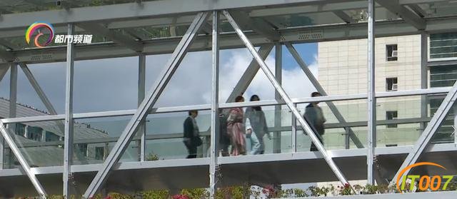 通透、开放、美观！昆明这两座人行天桥竣工验收，方便市民出行-4.jpg