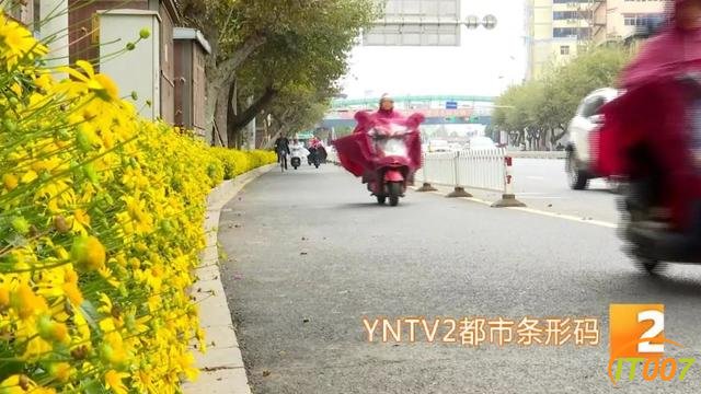 爆胎路遇“热心人”可提供换轮胎服务？原是兜售劣质轮胎新骗局，小心被骗-1.jpg