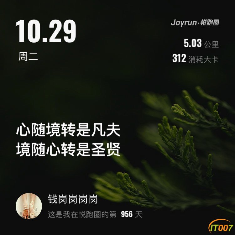 070256n62j0dj6pj33ed96.jpg