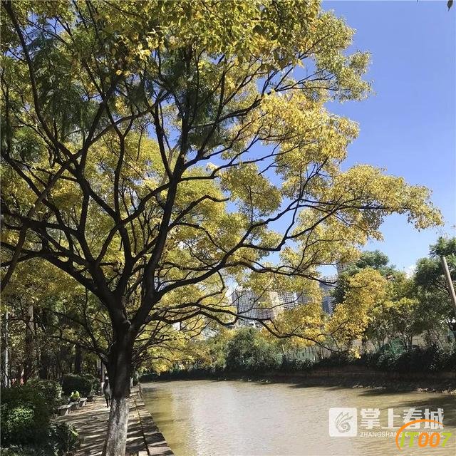超美超期待！昆明这条街即将变身春城新地标 下一个网红打卡地就是它-3.jpg