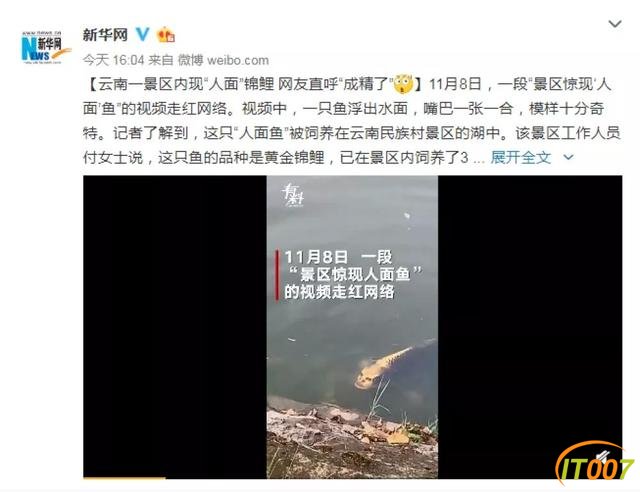 云南民族村“人脸锦鲤”走红网络，网友直呼成精了？-2.jpg