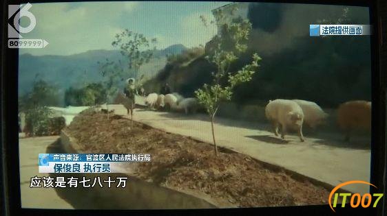 一场严肃的强制执行，画风演变成大型赶猪现场 官渡法院：我太难了-7.jpg