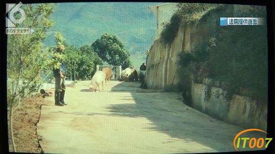 一场严肃的强制执行，画风演变成大型赶猪现场 官渡法院：我太难了-5.jpg