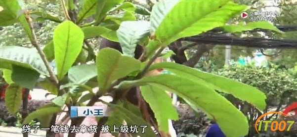 想做微商身陷“套路贷”，26岁年轻妈妈被逼无奈，甚至想一死了之-2.jpg