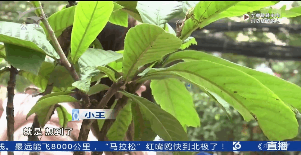 想做微商身陷“套路贷”，26岁年轻妈妈被逼无奈，甚至想一死了之-6.jpg