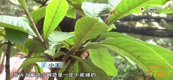 想做微商身陷“套路贷”，26岁年轻妈妈被逼无奈，甚至想一死了之-7.jpg