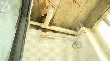 哈哈哈太可爱了吧！猴子跑到管理所“拆家”，所长还以为是“职工打架”-5.jpg