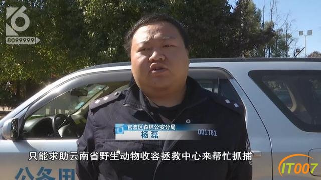 哈哈哈太可爱了吧！猴子跑到管理所“拆家”，所长还以为是“职工打架”-7.jpg