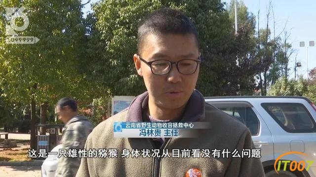 哈哈哈太可爱了吧！猴子跑到管理所“拆家”，所长还以为是“职工打架”-13.jpg