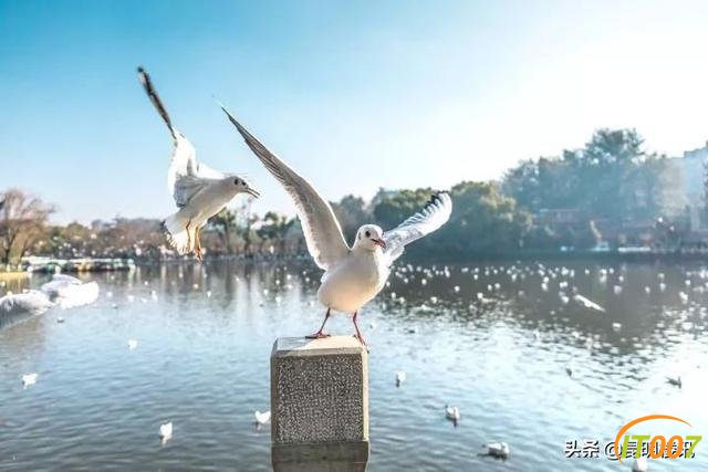 昆明地铁5号线，途径世博园、圆通山、翠湖、滇池等旅游景点-5.jpg