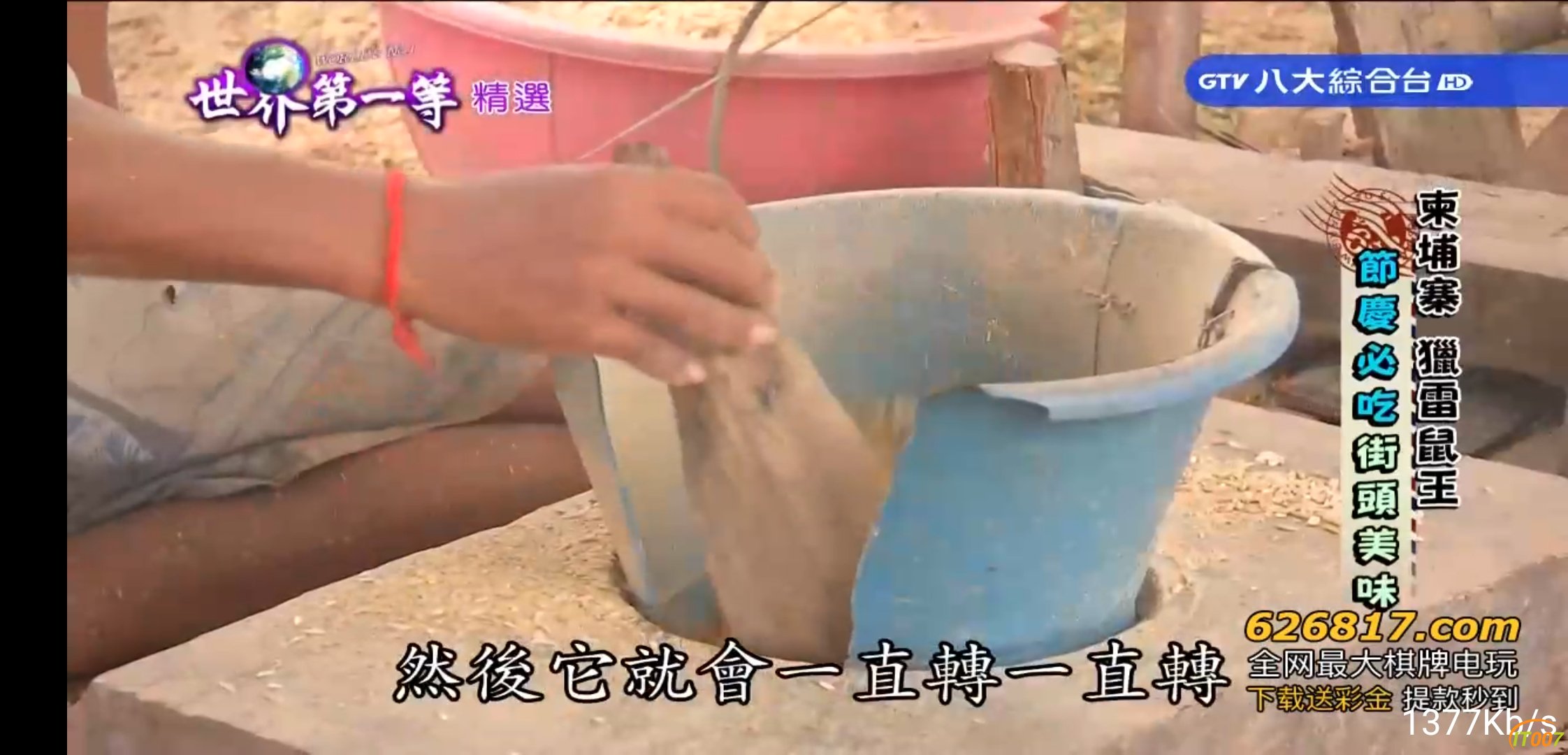 Screenshot_20191210_151223_com.vv.lctv.jpg