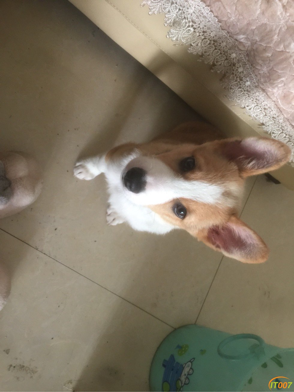 163034a77y1k24150lhxy2.jpg