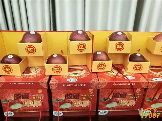 时速350公里，工期预计6年！渝昆高铁云南段开工，昆明2小时到重庆-12.jpg