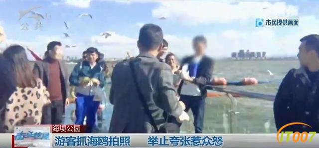 总有“刁民”想害鸥！昆明海埂大坝抓海鸥？10000元林业行政处罚怕不怕-4.jpg