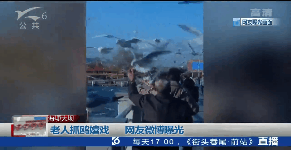 总有“刁民”想害鸥！昆明海埂大坝抓海鸥？10000元林业行政处罚怕不怕-6.jpg
