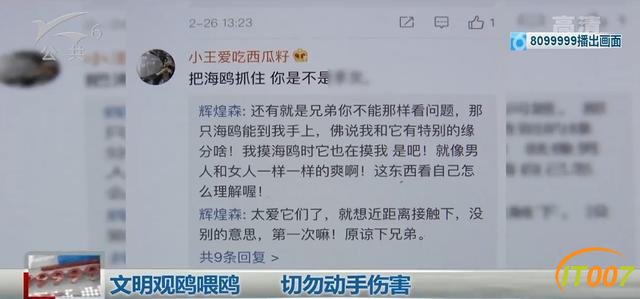总有“刁民”想害鸥！昆明海埂大坝抓海鸥？10000元林业行政处罚怕不怕-9.jpg