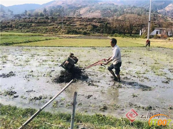 昆明市全力确保防疫春耕“两不误”-3.jpg