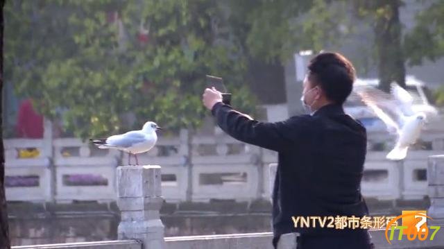 5月1日前，普者黑部分景区可免费游览！昆明的翠湖公园和海埂大坝恢复开放日期待定-26.jpg