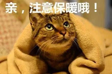 昆明迎最早春雷排全国首位！我省开展人工增雨助力春耕-6.jpg
