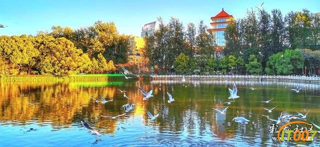 呈贡要建一个千亩大公园，光水域面积就比整个翠湖大-3.jpg