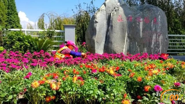 昆明市政府发布2020年行动计划 今年要加快干这45件大事-18.jpg