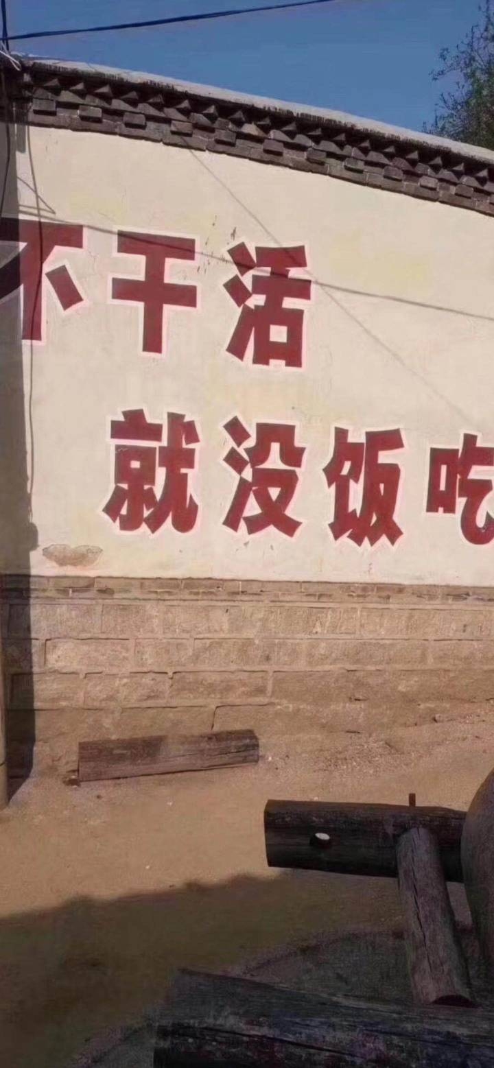 钱岗专栏：随波逐流的勇气