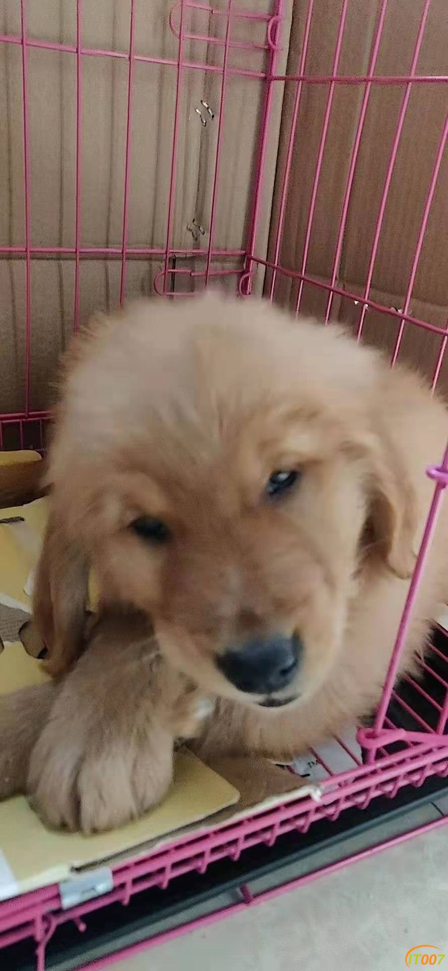 微信图片_20210125191352.jpg