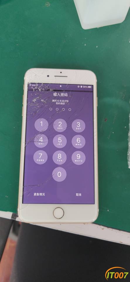 100914y1rlg2g5yiya8sgy.jpg