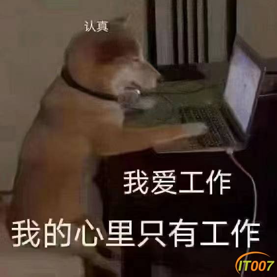 100915ndzo5cuotg5tgm1o.jpg