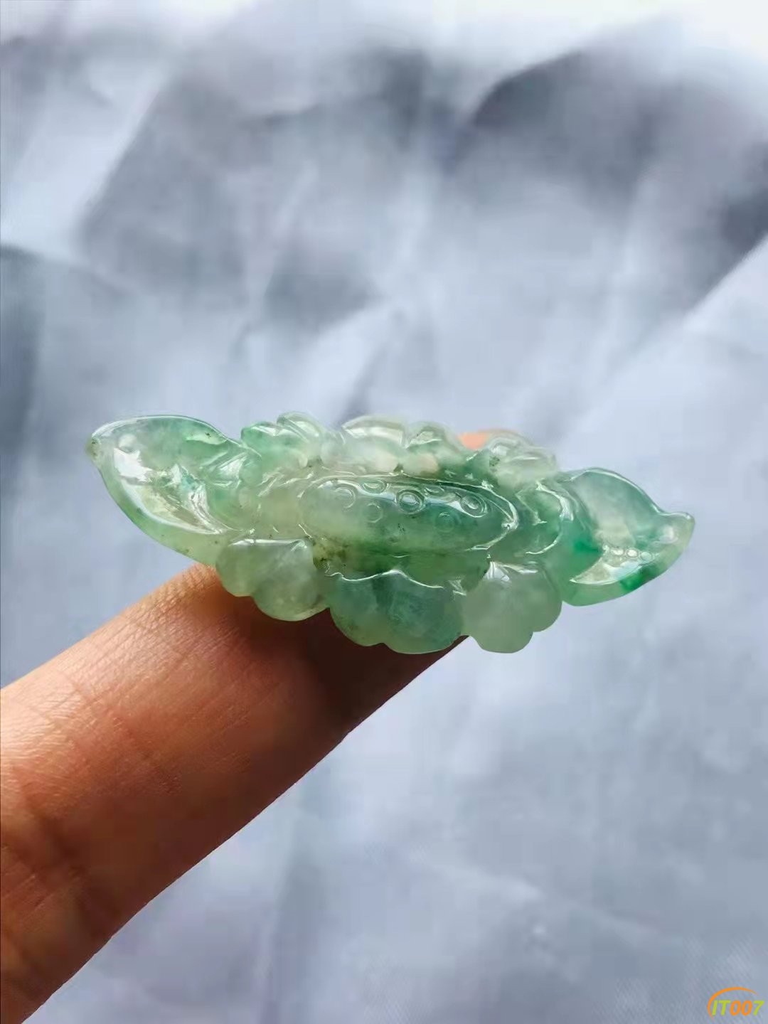 微信图片_20210915215901.jpg