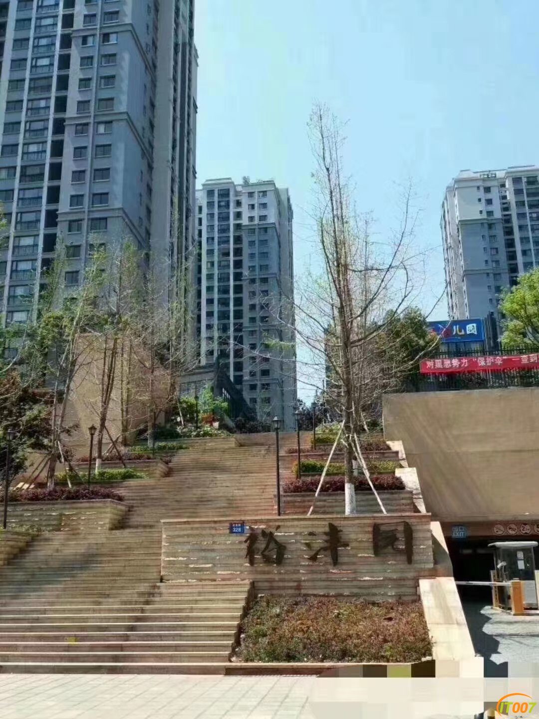 Y01.jpg
