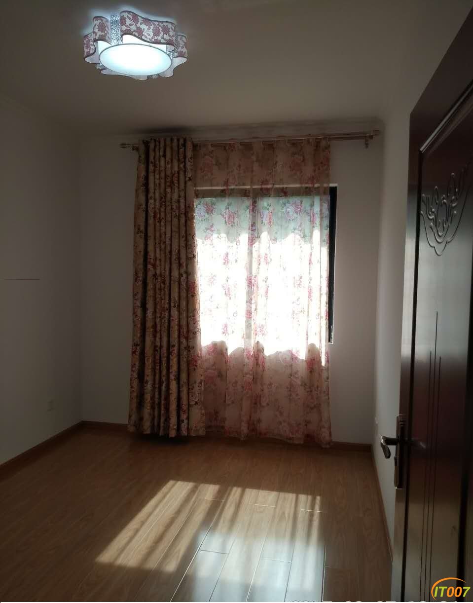 Y03.jpg