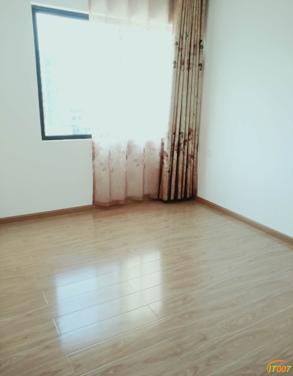 Y04.jpg