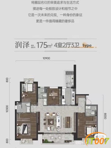 141719vu4awb9ounsnubw4.jpg