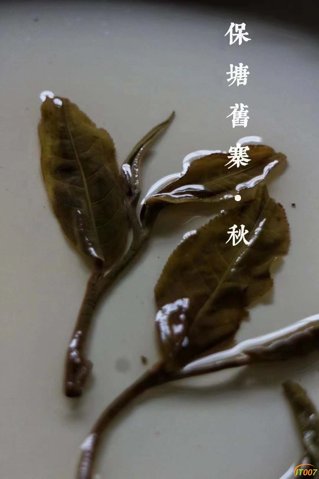 D7B88418-C747-49F6-A797-58A3B95B382E.jpeg