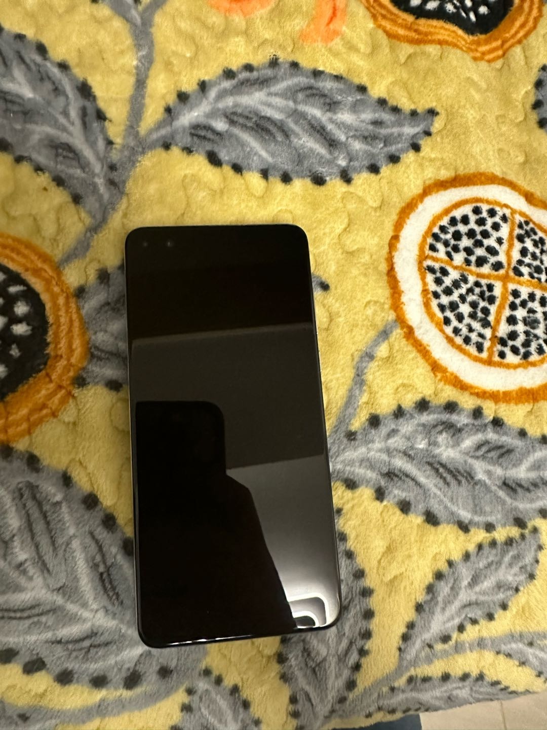 213853qr7egvfq75kgeglx.jpg