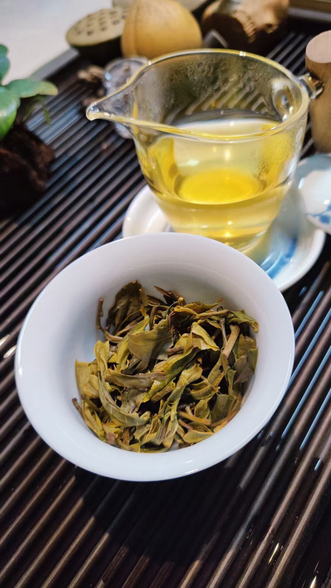 凤凰窝古树春茶5000一公斤