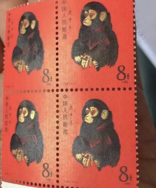 161441rjoxl9jlkllho9oz.jpg